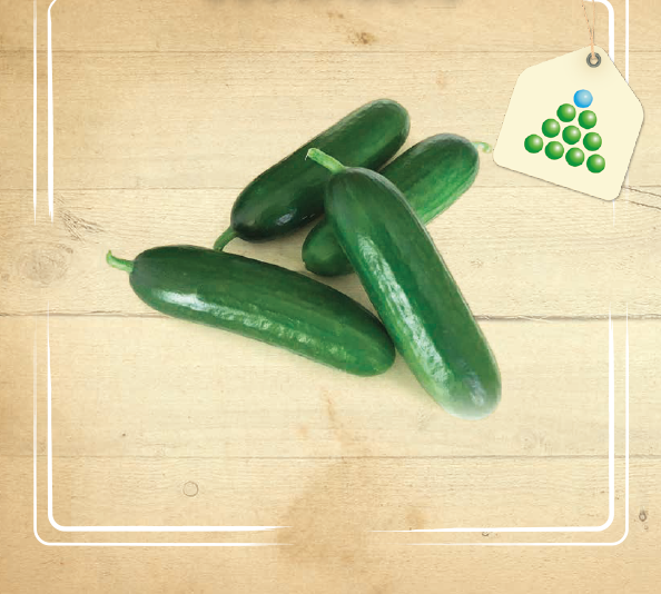 Leaflet – Cucumbers-1
