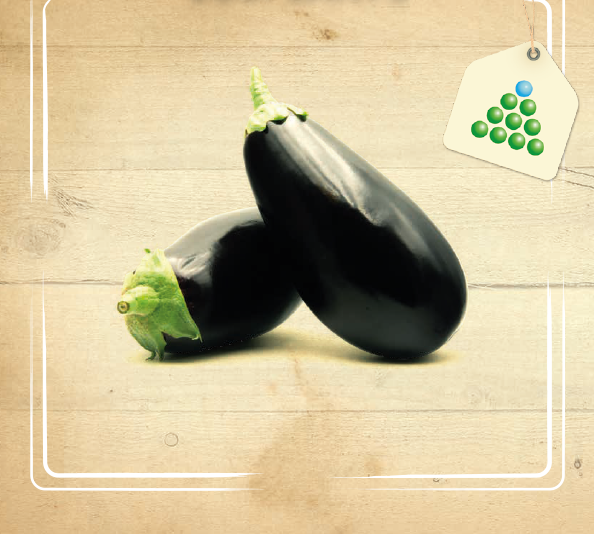 Leaflet – Eggplant-1