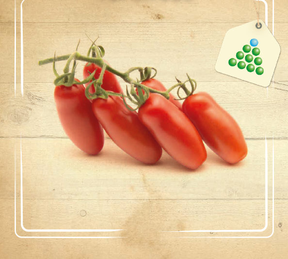 Leaflet – Tomatoes-1