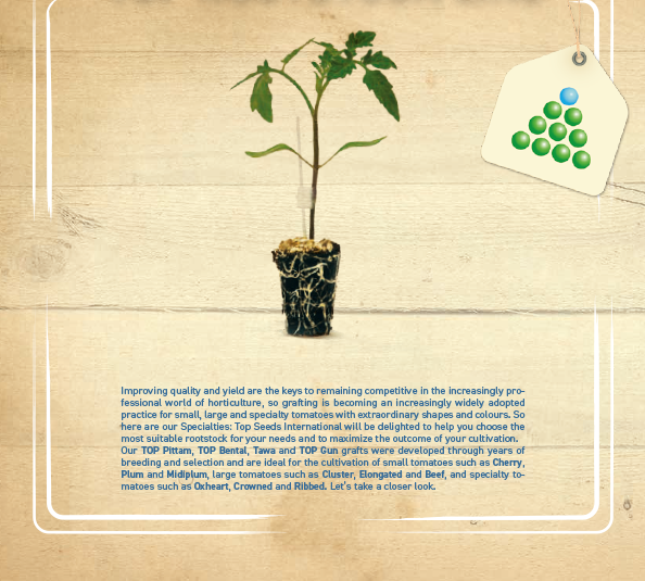 Leaflet – Top Rootstock-1