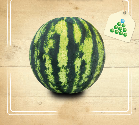 Leaflet – Watermelon-1